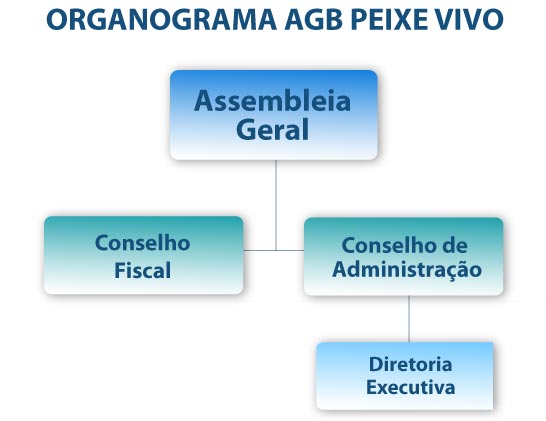 organograma Agência Peixe Vivo