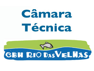 reunião câmara técnica CBH Velhas