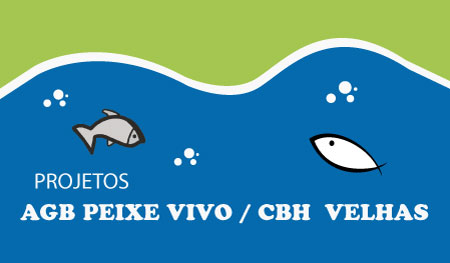 PROJETOS AGÊNCIA PEIXE VIVO / CBH VELHAS