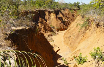 Formação de voçoroca no município de São Desidério - BA. Processo erosivo comum em algumas áreas da região