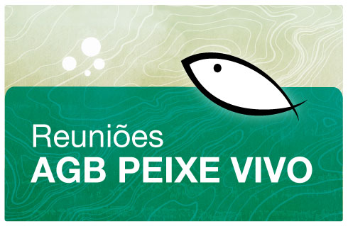 Agência Peixe Vivo